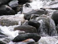 Albums/20060200-New Zealand 2006/20060208-Fox_and_FJ_Glaciers/34